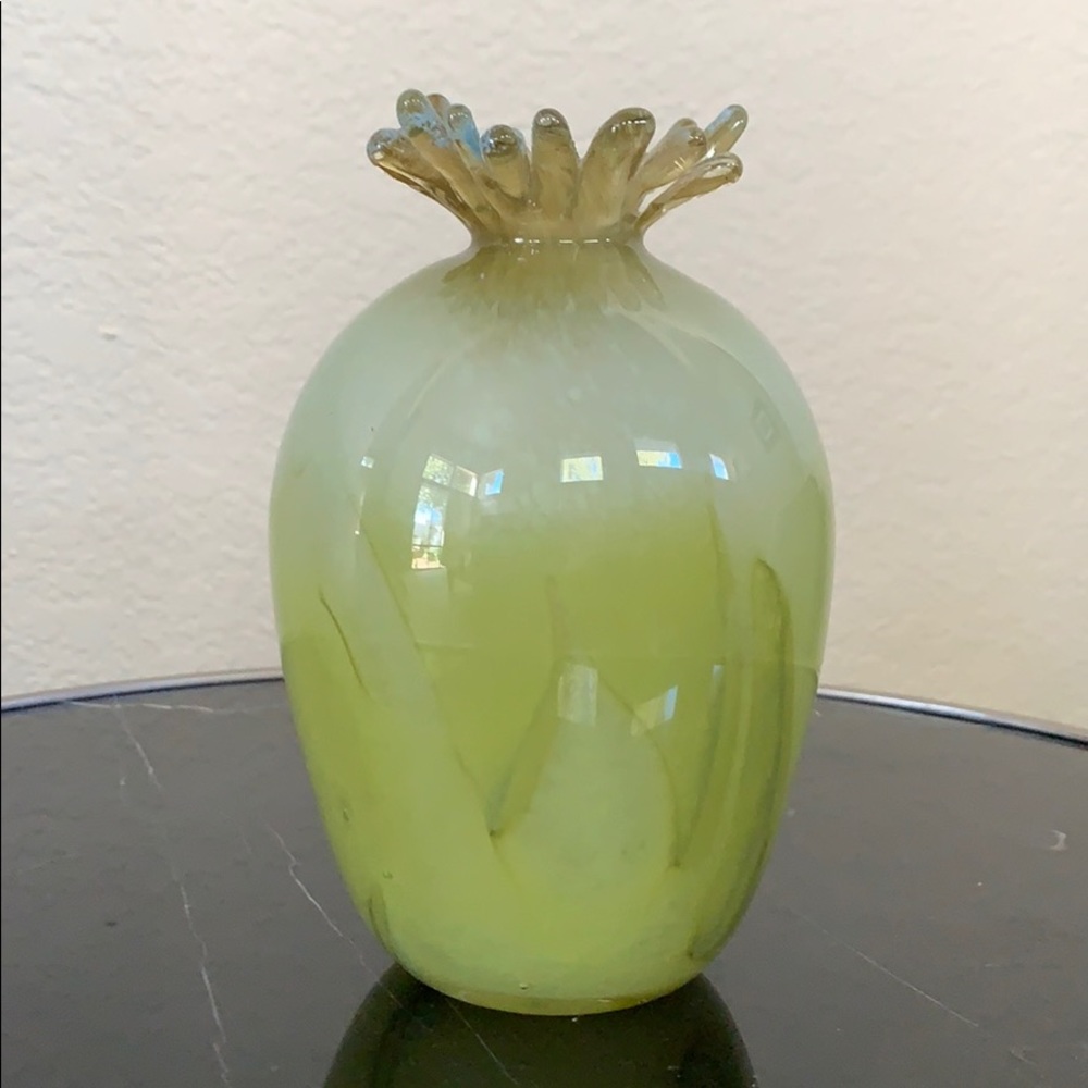 Hand -Blown Glass Vase
